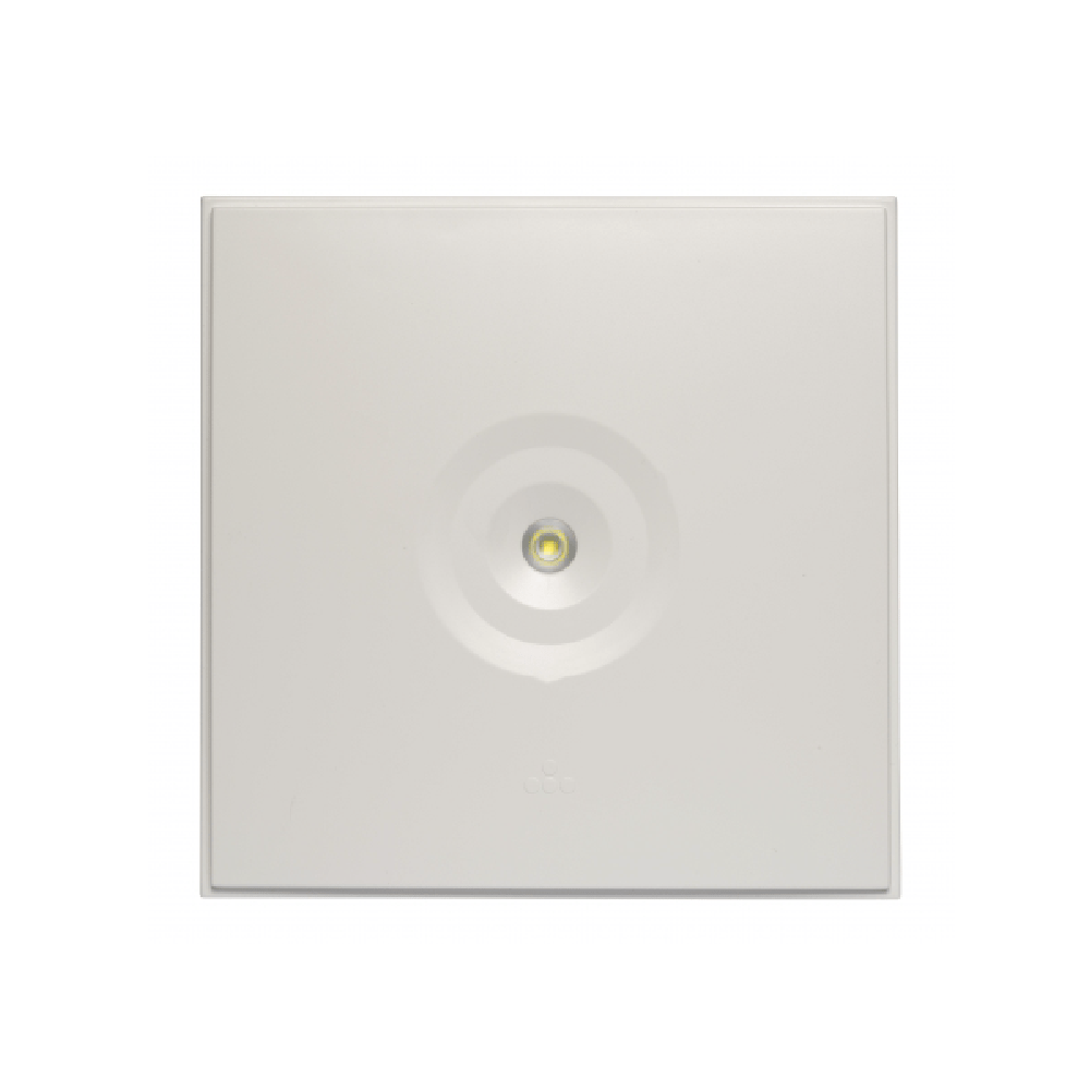 Zonespot ll Midbay