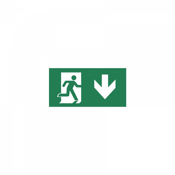 Piktogram SOLID Exit 2 N 30m
