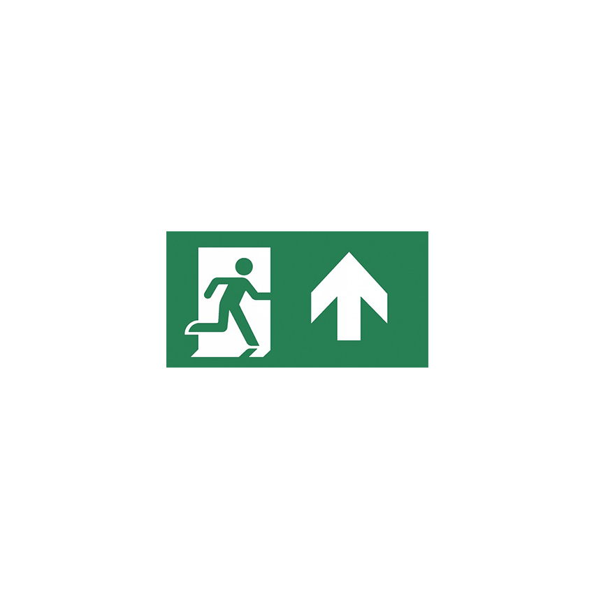 Piktogram SOLID Exit 2 O 30m